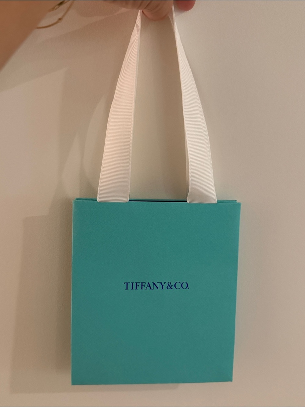 Tiffany & Co. Blue Mini Gift Bag with White Ribbon Handles